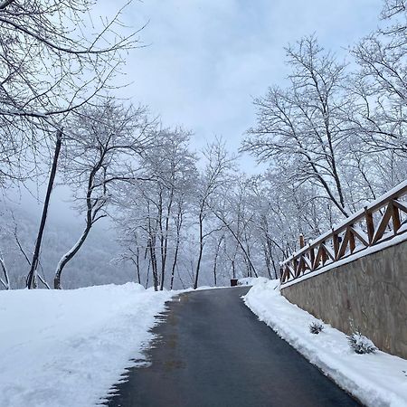 Kuca za odmor ,,Balkan” Crni Vrh Dış mekan fotoğraf