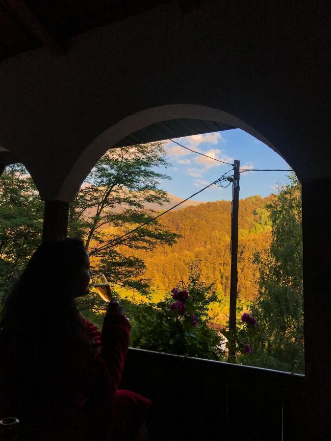 Kuca za odmor ,,Balkan” Crni Vrh Dış mekan fotoğraf