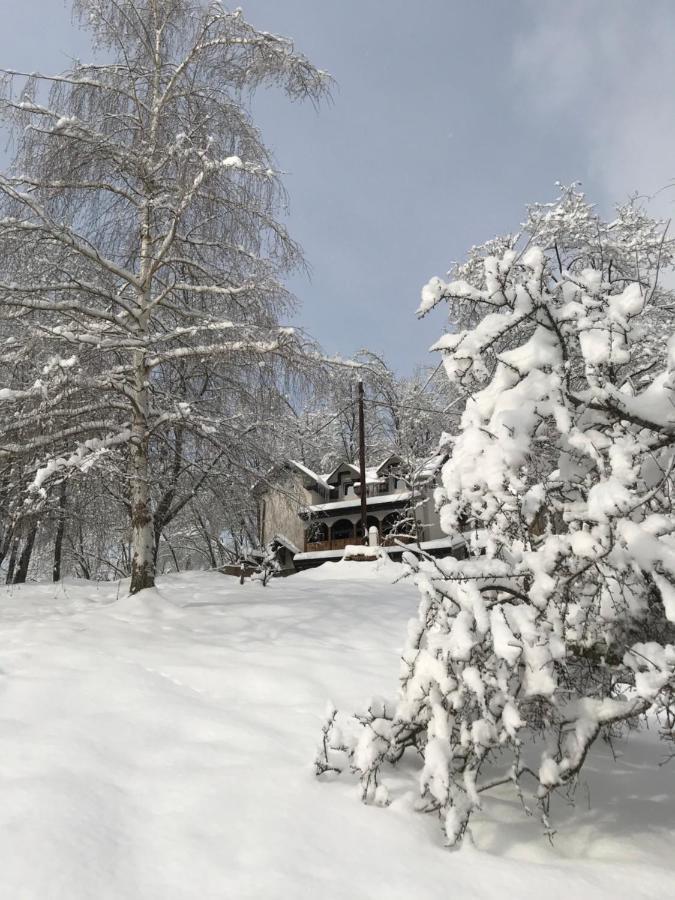 Kuca za odmor ,,Balkan” Crni Vrh Dış mekan fotoğraf
