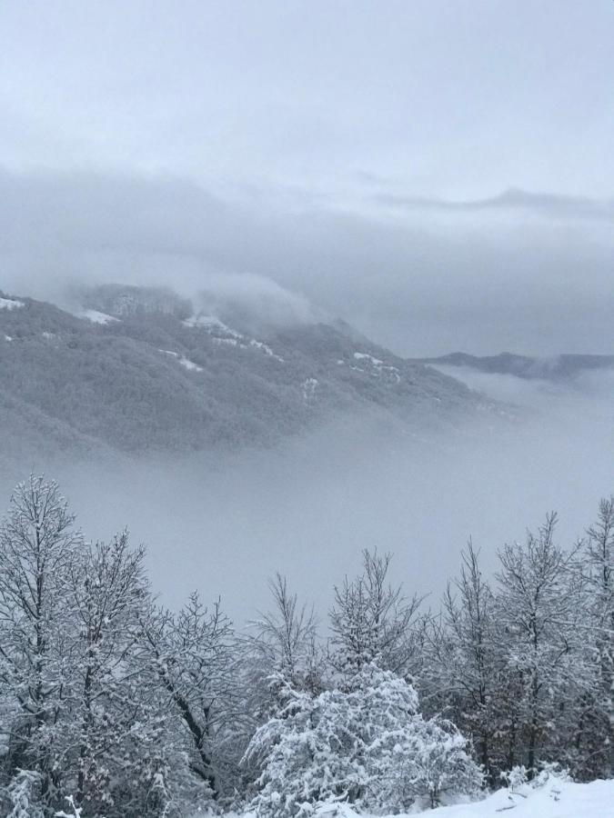 Kuca za odmor ,,Balkan” Crni Vrh Dış mekan fotoğraf