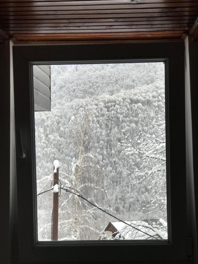 Kuca za odmor ,,Balkan” Crni Vrh Dış mekan fotoğraf