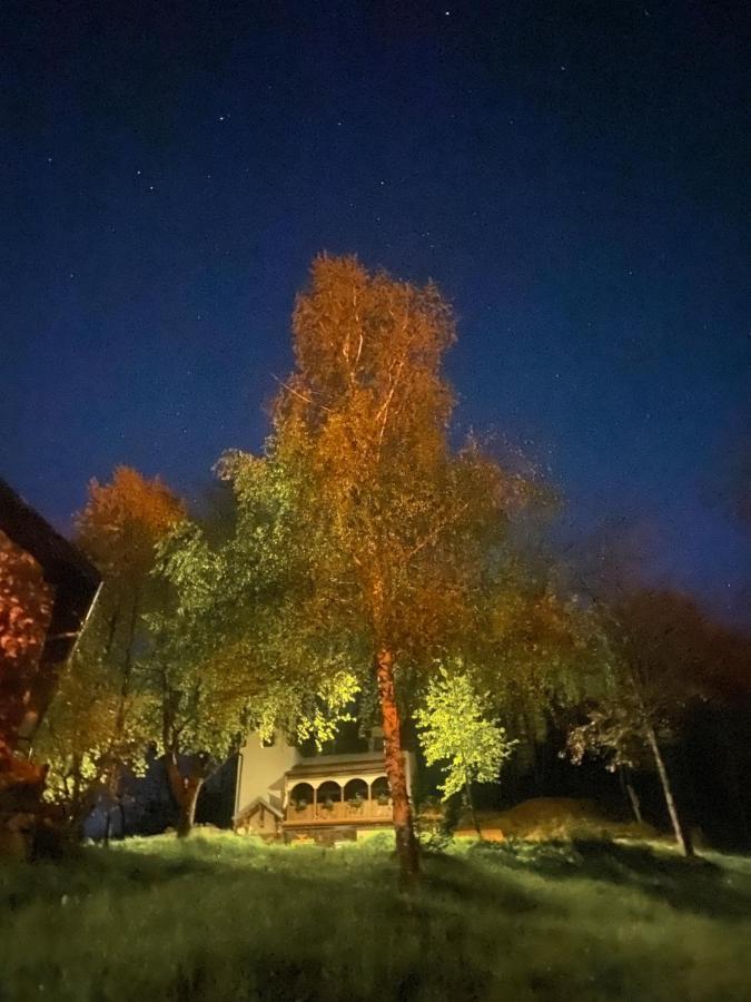 Kuca za odmor ,,Balkan” Crni Vrh Dış mekan fotoğraf