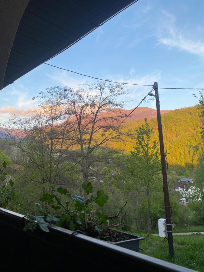 Kuca za odmor ,,Balkan” Crni Vrh Dış mekan fotoğraf