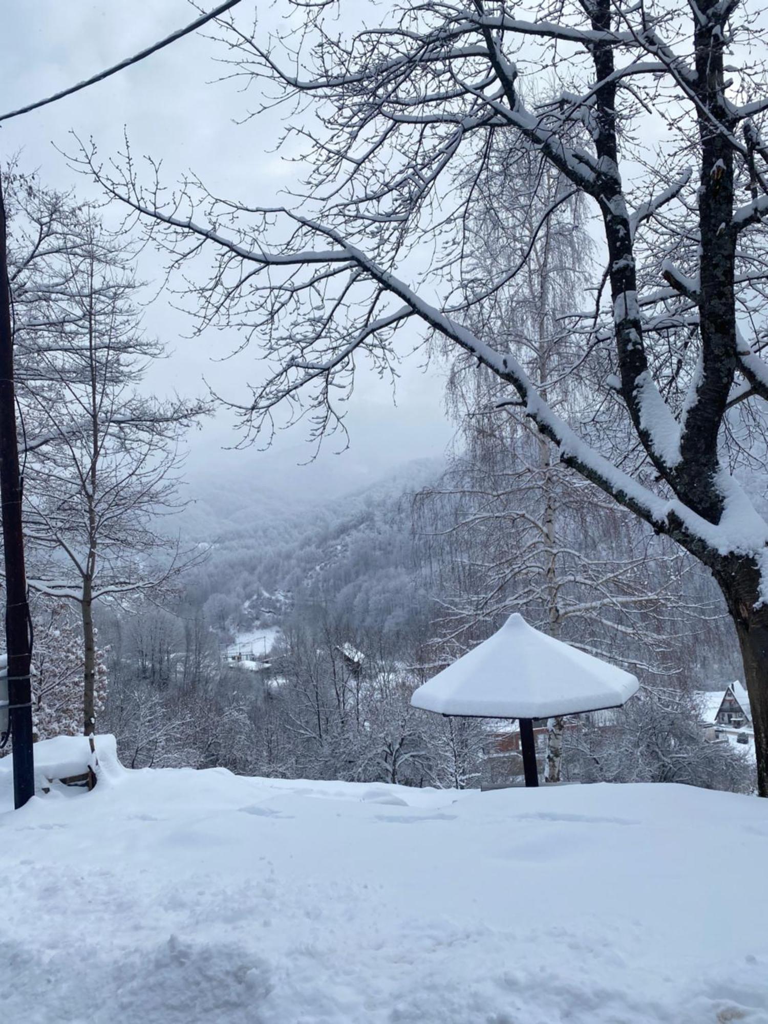 Kuca za odmor ,,Balkan” Crni Vrh Dış mekan fotoğraf