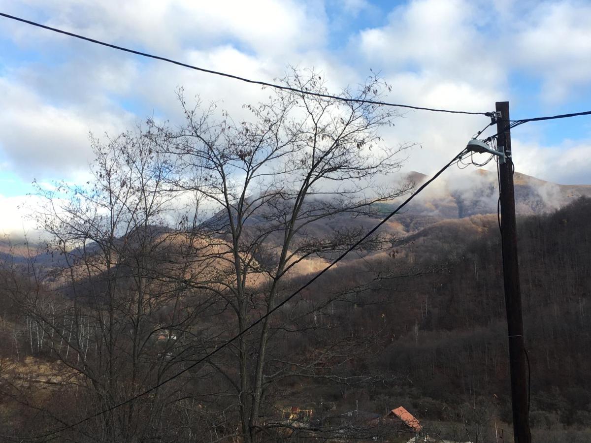 Kuca za odmor ,,Balkan” Crni Vrh Dış mekan fotoğraf