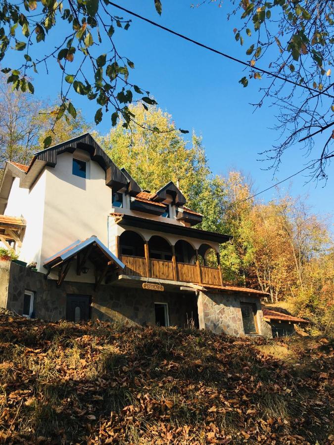 Kuca za odmor ,,Balkan” Crni Vrh Dış mekan fotoğraf